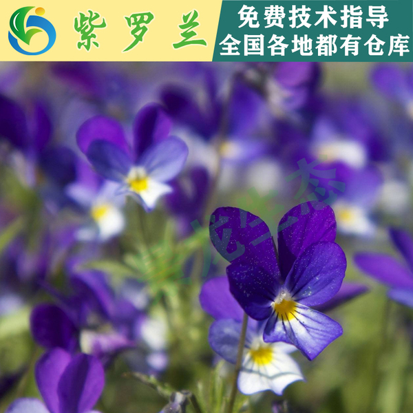 文章附图